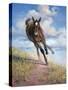 Wild Oats-Jack Sorenson-Stretched Canvas