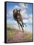 Wild Oats-Jack Sorenson-Framed Stretched Canvas