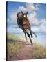 Wild Oats-Jack Sorenson-Stretched Canvas