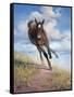 Wild Oats-Jack Sorenson-Framed Stretched Canvas