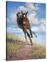 Wild Oats-Jack Sorenson-Stretched Canvas