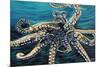 Wild Octopus II-Carolee Vitaletti-Mounted Art Print