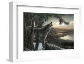 Wild Ones-Kevin Daniel-Framed Art Print