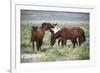 Wild or feral horses populate large areas of the Great American Desert in states such as Nevada and-Richard Wright-Framed Photographic Print