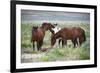 Wild or feral horses populate large areas of the Great American Desert in states such as Nevada and-Richard Wright-Framed Photographic Print