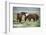 Wild or feral horses populate large areas of the Great American Desert in states such as Nevada and-Richard Wright-Framed Photographic Print