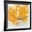 Wild Orange Sherbet I-J^P^ Prior-Framed Art Print