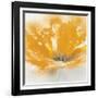 Wild Orange Sherbet I-J^P^ Prior-Framed Art Print