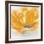 Wild Orange Sherbet I-J^P^ Prior-Framed Art Print