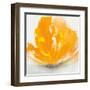 Wild Orange Sherbet I-J^P^ Prior-Framed Art Print