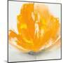 Wild Orange Sherbet I-J^P^ Prior-Mounted Art Print