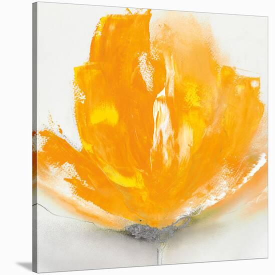 Wild Orange Sherbet I-J^P^ Prior-Stretched Canvas