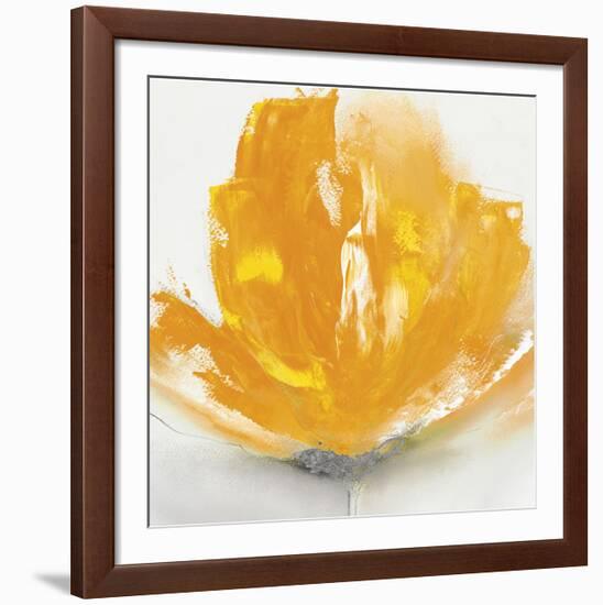 Wild Orange Sherbet II-J^P^ Prior-Framed Art Print