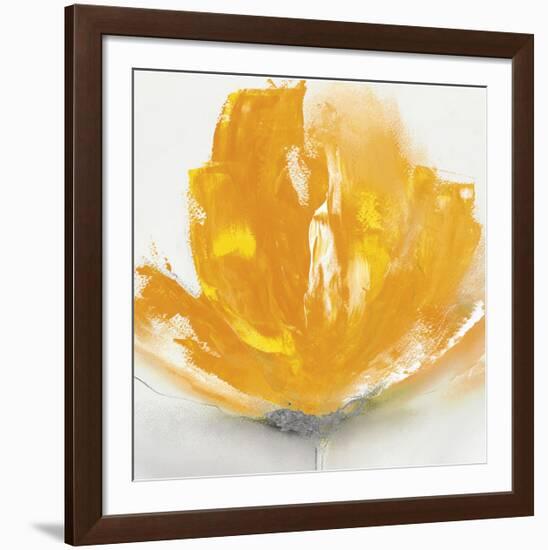 Wild Orange Sherbet II-J^P^ Prior-Framed Art Print