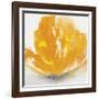 Wild Orange Sherbet II-J^P^ Prior-Framed Art Print