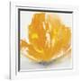 Wild Orange Sherbet II-J^P^ Prior-Framed Art Print