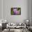 Wild Orchid, Cloud Forest, Upper Madre De Dios River, Peru-Howie Garber-Framed Photographic Print displayed on a wall