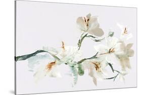 Wild Orchid - Flourish-Emma Violet-Stretched Canvas