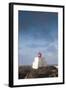 Wild Pacific Trail, Amphitrite Lighthouse, Vancouver Island, British Columbia, Canada-Walter Bibikow-Framed Photographic Print