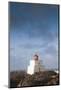 Wild Pacific Trail, Amphitrite Lighthouse, Vancouver Island, British Columbia, Canada-Walter Bibikow-Mounted Photographic Print