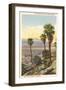 Wild Palms, Palm Springs-null-Framed Premium Giclee Print