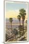 Wild Palms, Palm Springs-null-Mounted Premium Giclee Print