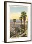 Wild Palms, Palm Springs-null-Framed Art Print