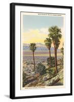 Wild Palms, Palm Springs-null-Framed Art Print