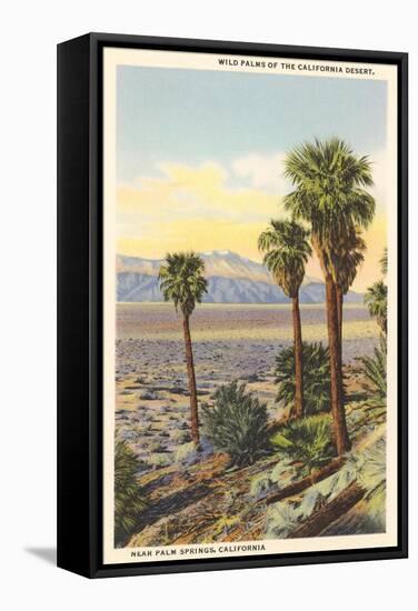 Wild Palms, Palm Springs-null-Framed Stretched Canvas