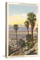 Wild Palms, Palm Springs-null-Stretched Canvas