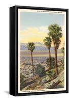 Wild Palms, Palm Springs-null-Framed Stretched Canvas