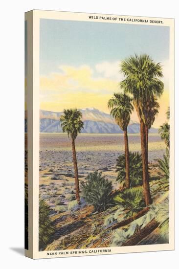 Wild Palms, Palm Springs-null-Stretched Canvas