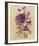 Wild Pansy-Charles Rennie Mackintosh-Framed Art Print