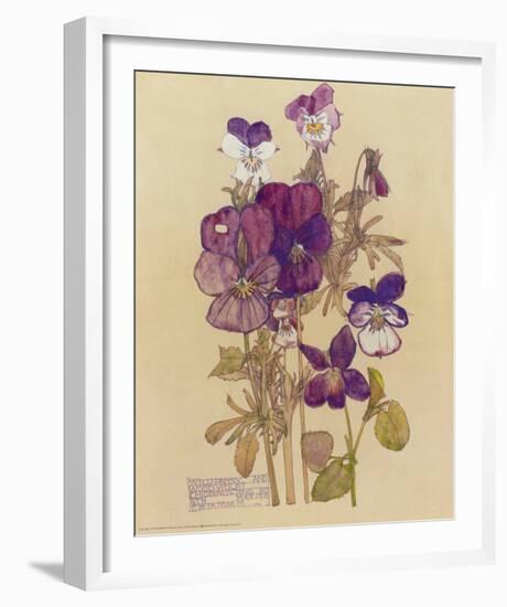 Wild Pansy-Charles Rennie Mackintosh-Framed Art Print