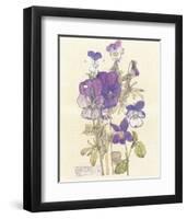 Wild Pansy-Charles Rennie Mackintosh-Framed Premium Giclee Print