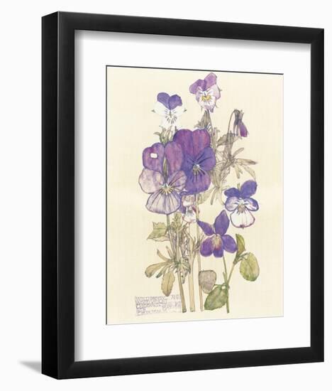 Wild Pansy-Charles Rennie Mackintosh-Framed Premium Giclee Print