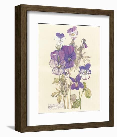 Wild Pansy-Charles Rennie Mackintosh-Framed Premium Giclee Print