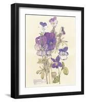 Wild Pansy-Charles Rennie Mackintosh-Framed Premium Giclee Print