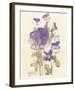 Wild Pansy-Charles Rennie Mackintosh-Framed Premium Giclee Print