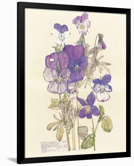 Wild Pansy-Charles Rennie Mackintosh-Framed Premium Giclee Print
