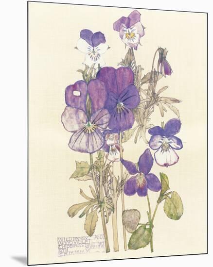 Wild Pansy-Charles Rennie Mackintosh-Mounted Premium Giclee Print