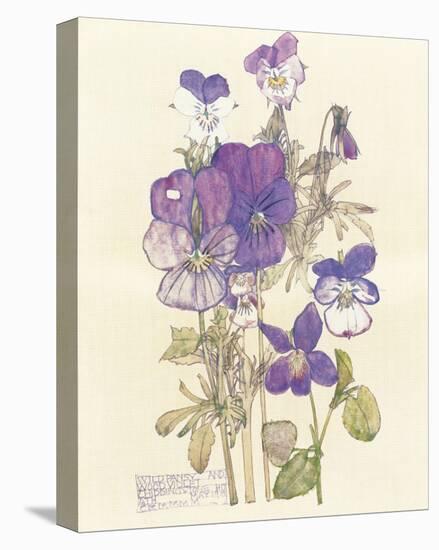 Wild Pansy-Charles Rennie Mackintosh-Stretched Canvas