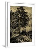 Wild Pine-Ernst Heyn-Framed Art Print