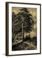 Wild Pine-Ernst Heyn-Framed Art Print