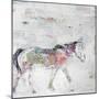 Wild Pinto-Kellie Day-Mounted Art Print