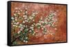 Wild Plum Blossoms-Zachary Alexander-Framed Stretched Canvas