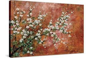 Wild Plum Blossoms-Zachary Alexander-Stretched Canvas