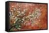 Wild Plum Blossoms-Zachary Alexander-Framed Stretched Canvas