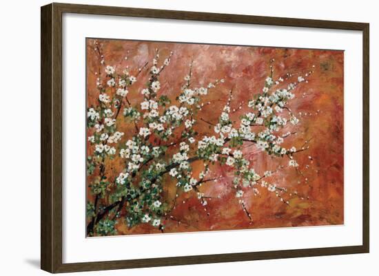 Wild Plum Blossoms-Zachary Alexander-Framed Art Print