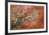 Wild Plum Blossoms-Zachary Alexander-Framed Art Print